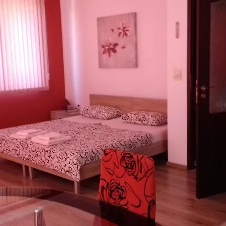 Gasthuis Nedelchevi 3*