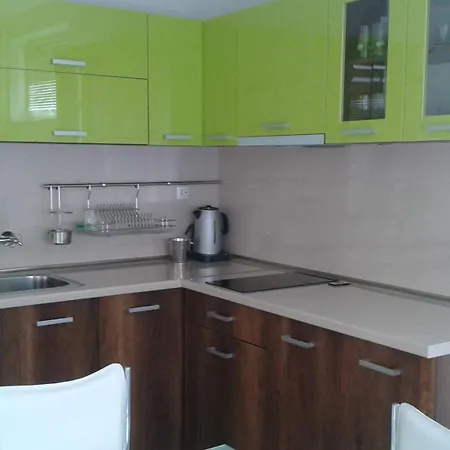 Nedelchevi 3* פרימורסקו