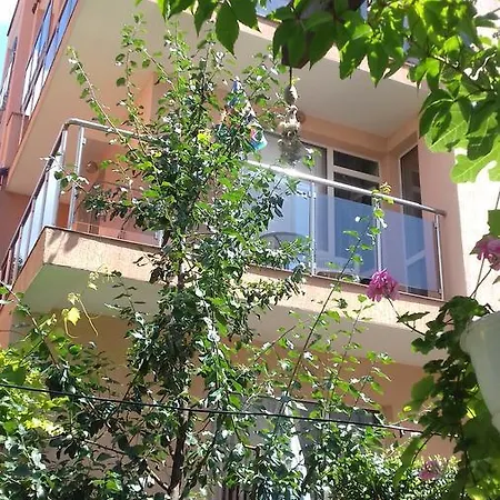 Gasthuis Nedelchevi 3*