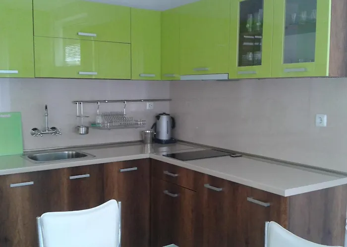 Nedelchevi 3* פרימורסקו