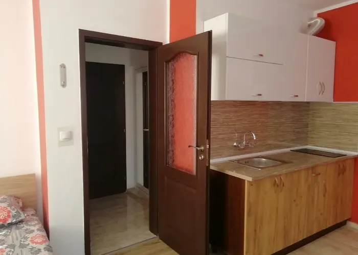 Nedelchevi 3* פרימורסקו